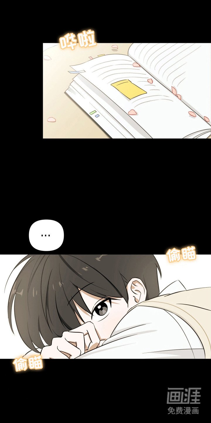 第13章：通情达理
