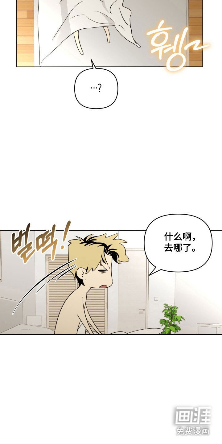 第19章：晨醒