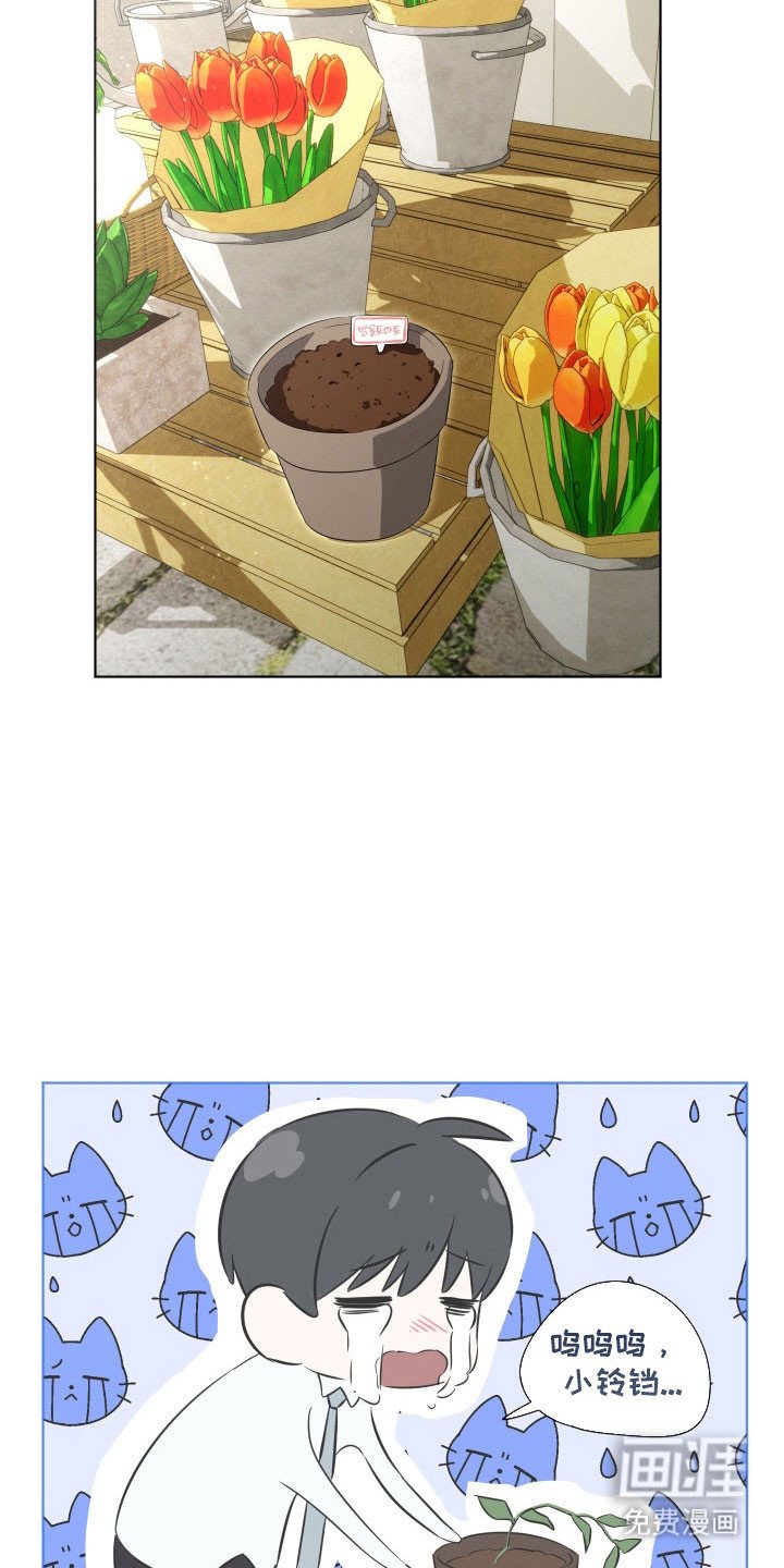 第20章：快点回家