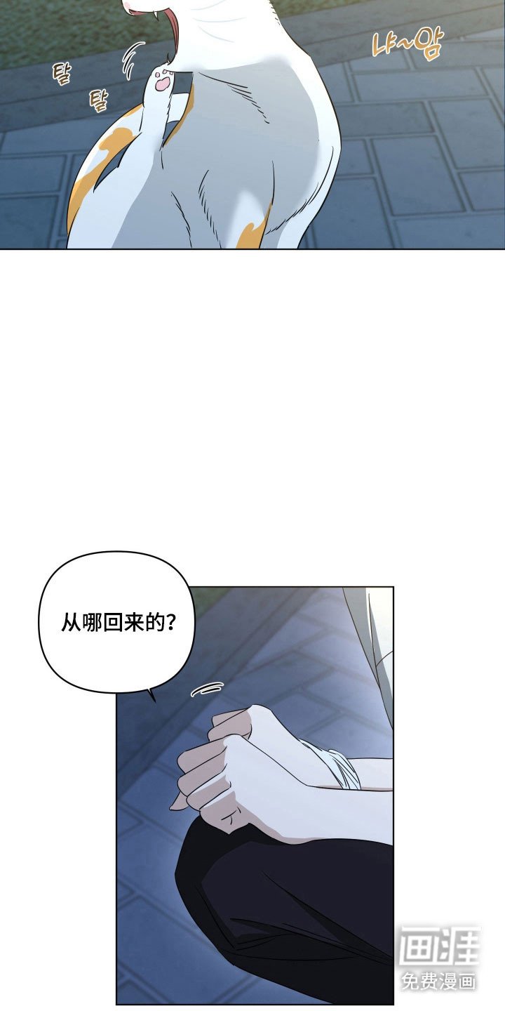 第26章：原唱歌曲