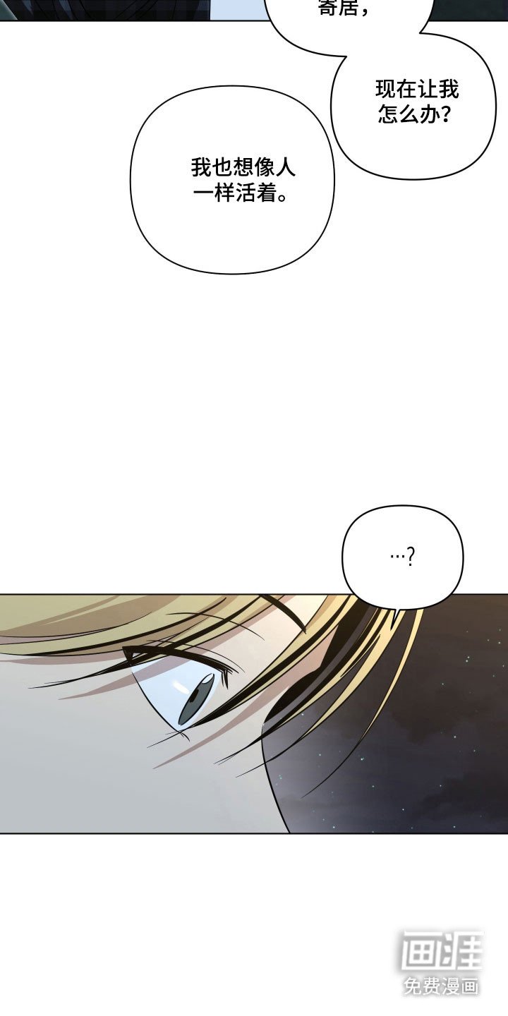 第27章：找回吉他