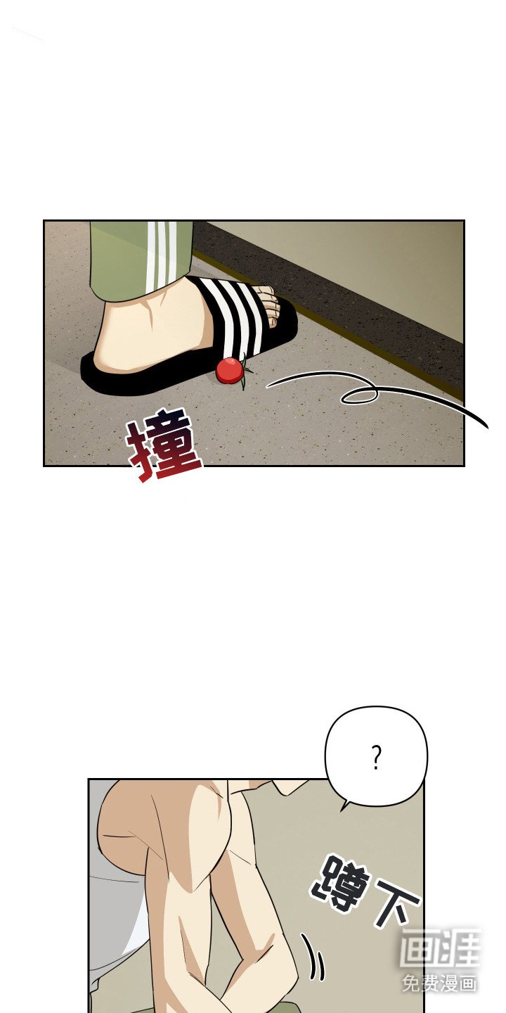 第4章：可怜兮兮