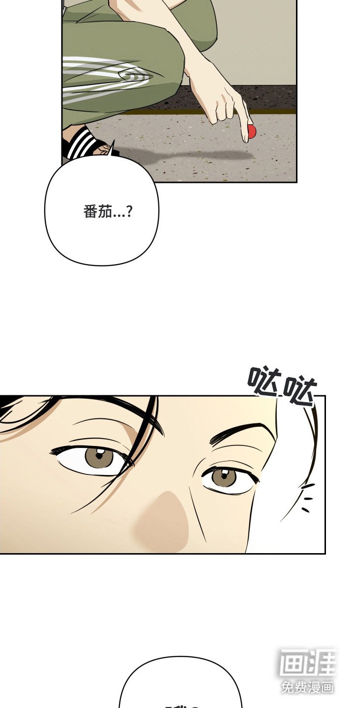 第4章：可怜兮兮