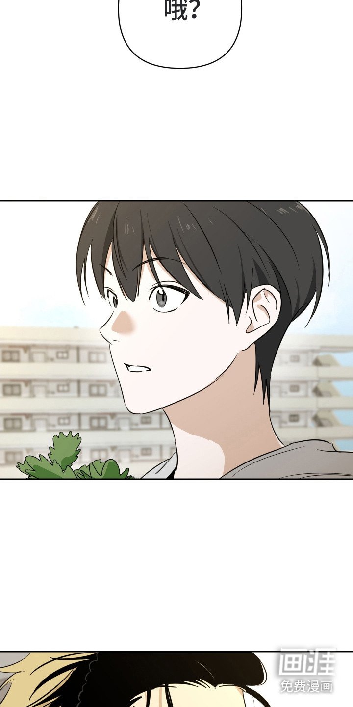 第4章：可怜兮兮