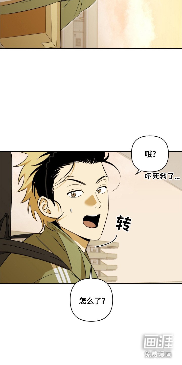 第5章：心软
