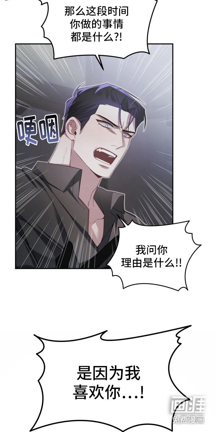 第13章：理由