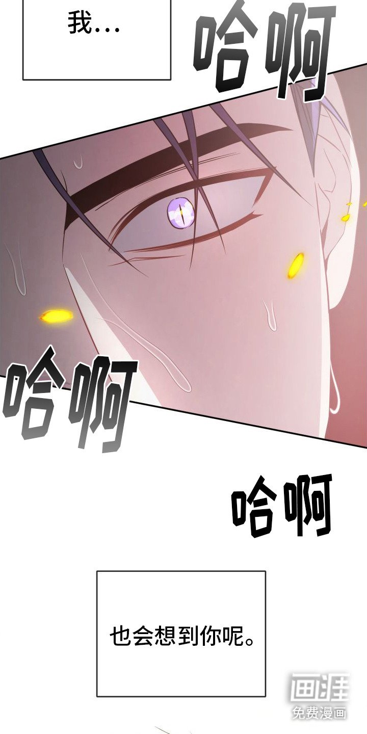 第17章：危机