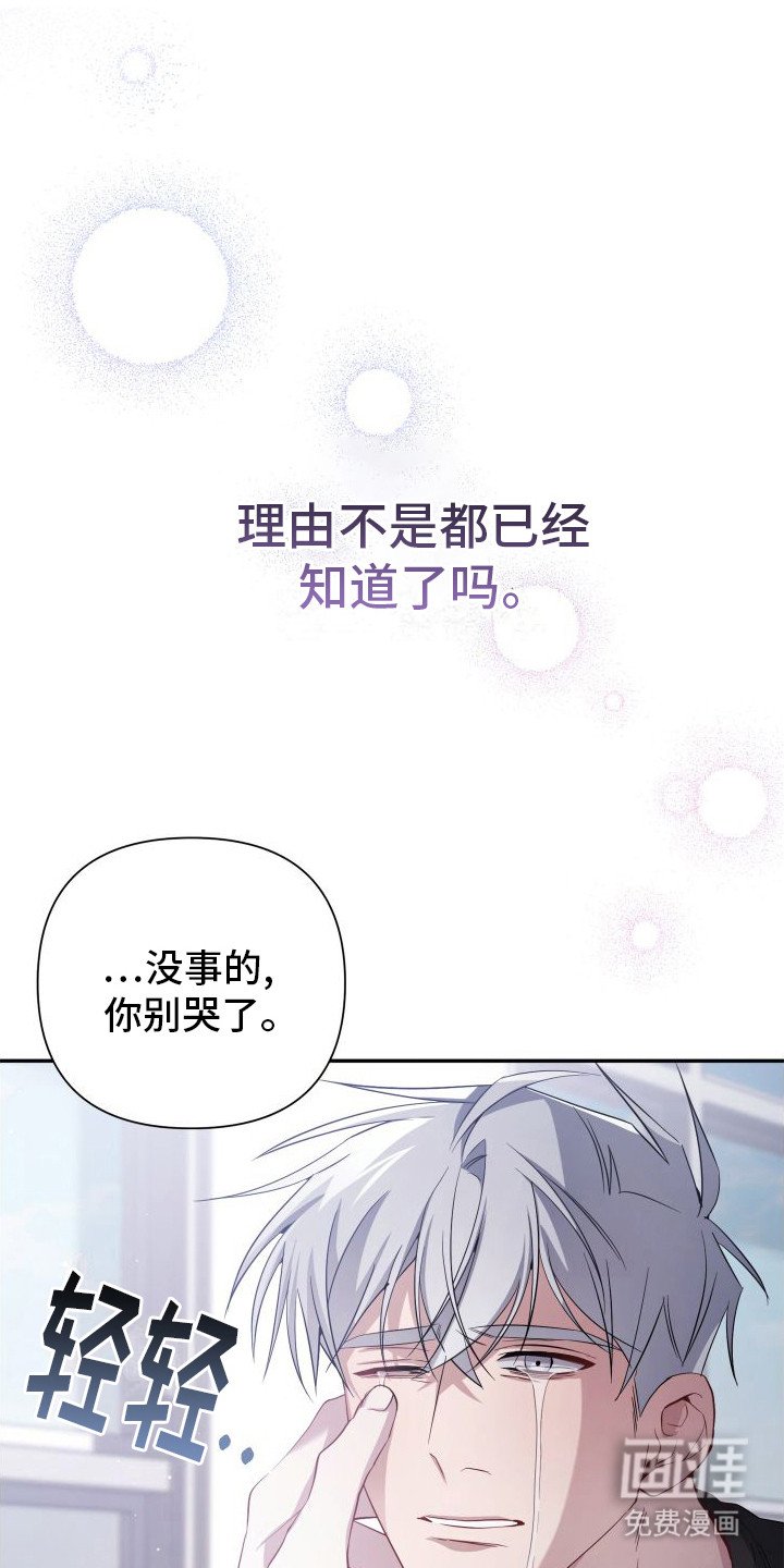 第19章：道歉