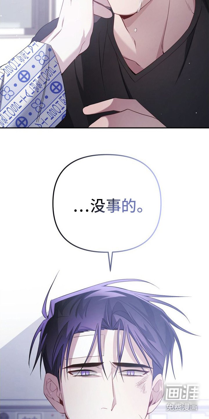 第19章：道歉