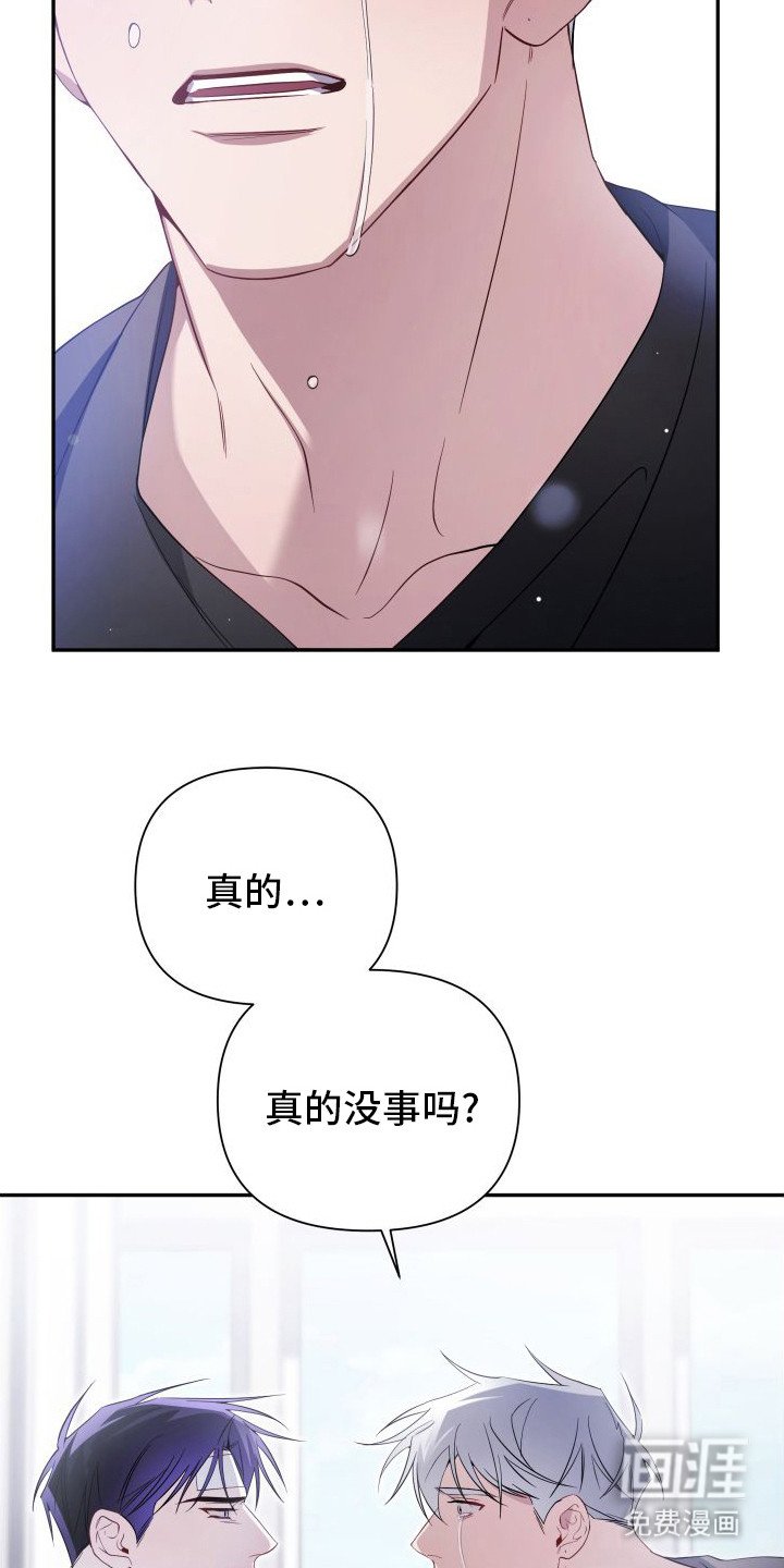 第19章：道歉