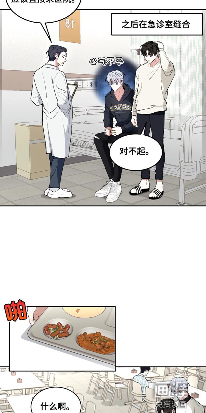 第11章：接受教育的野生动物
