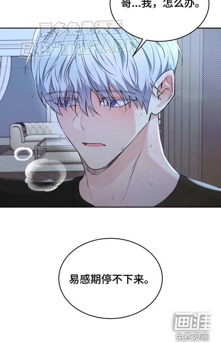 第31章：停不下来
