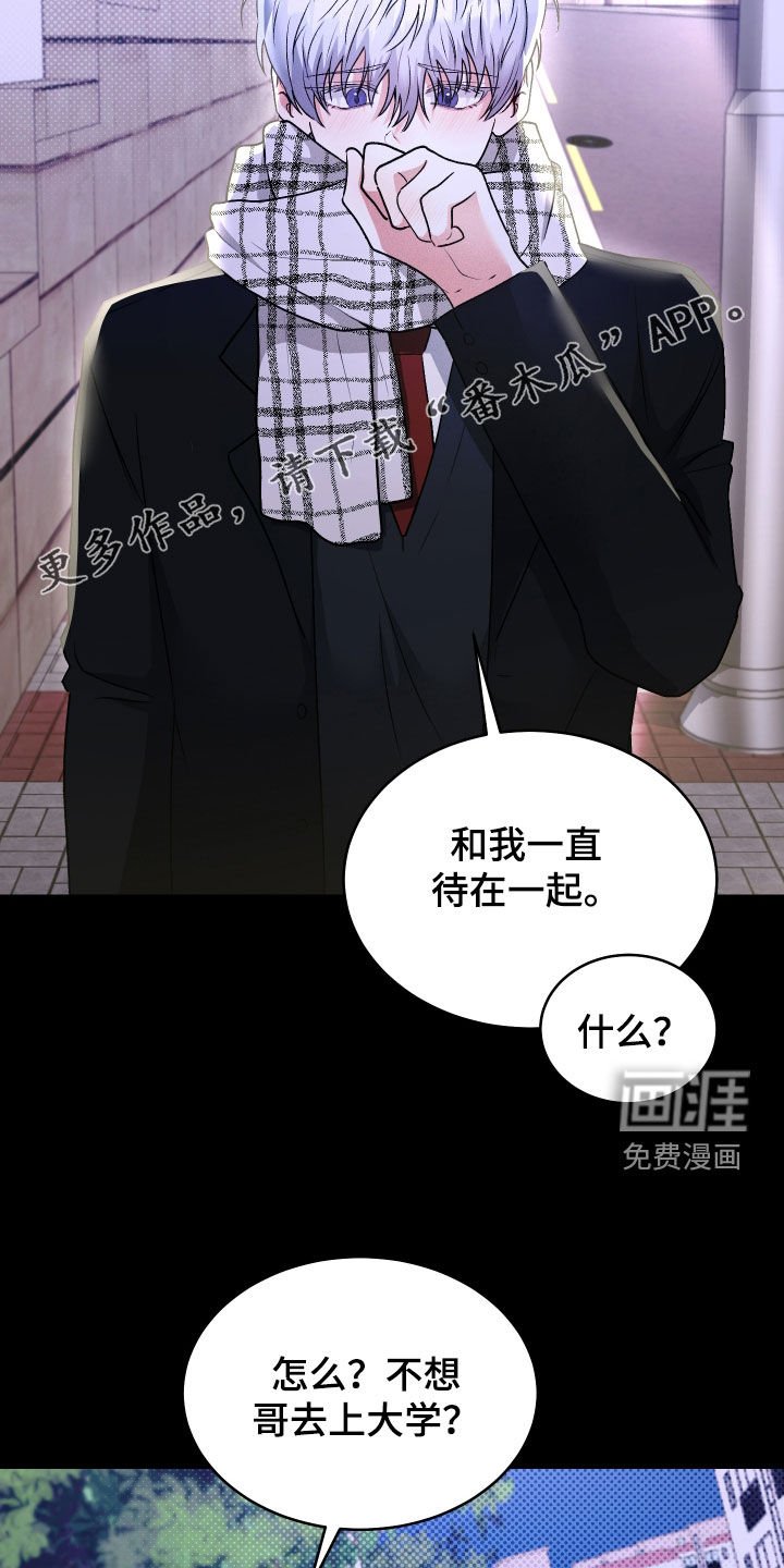 第34章：分化