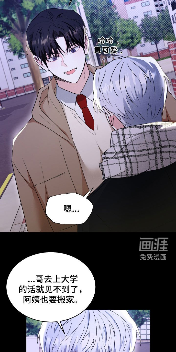 第34章：分化