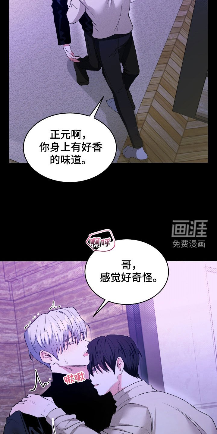 第35章：重逢
