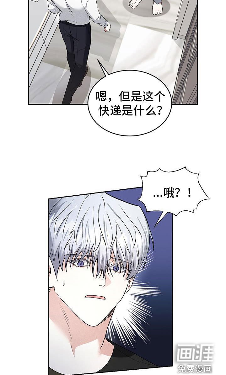 第47章：【番外】快递