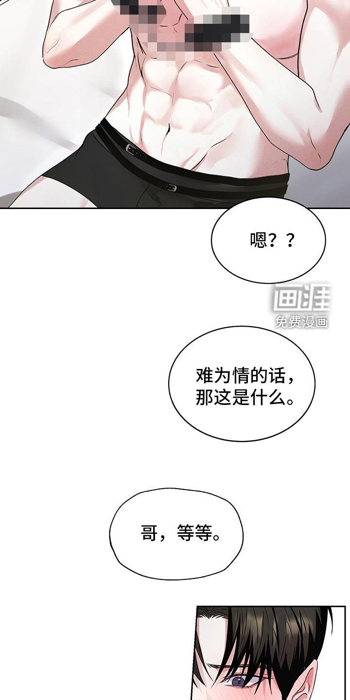 第48章：【番外】我是兔子