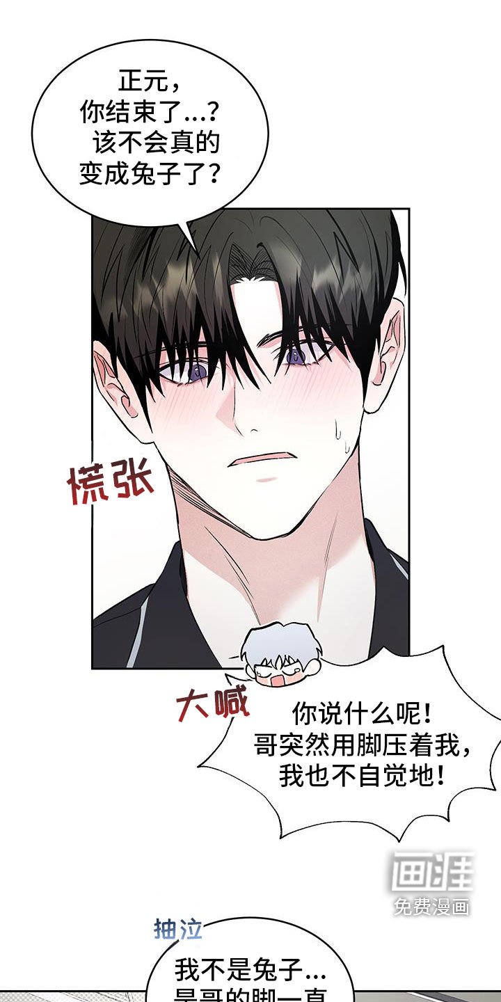 第48章：【番外】我是兔子