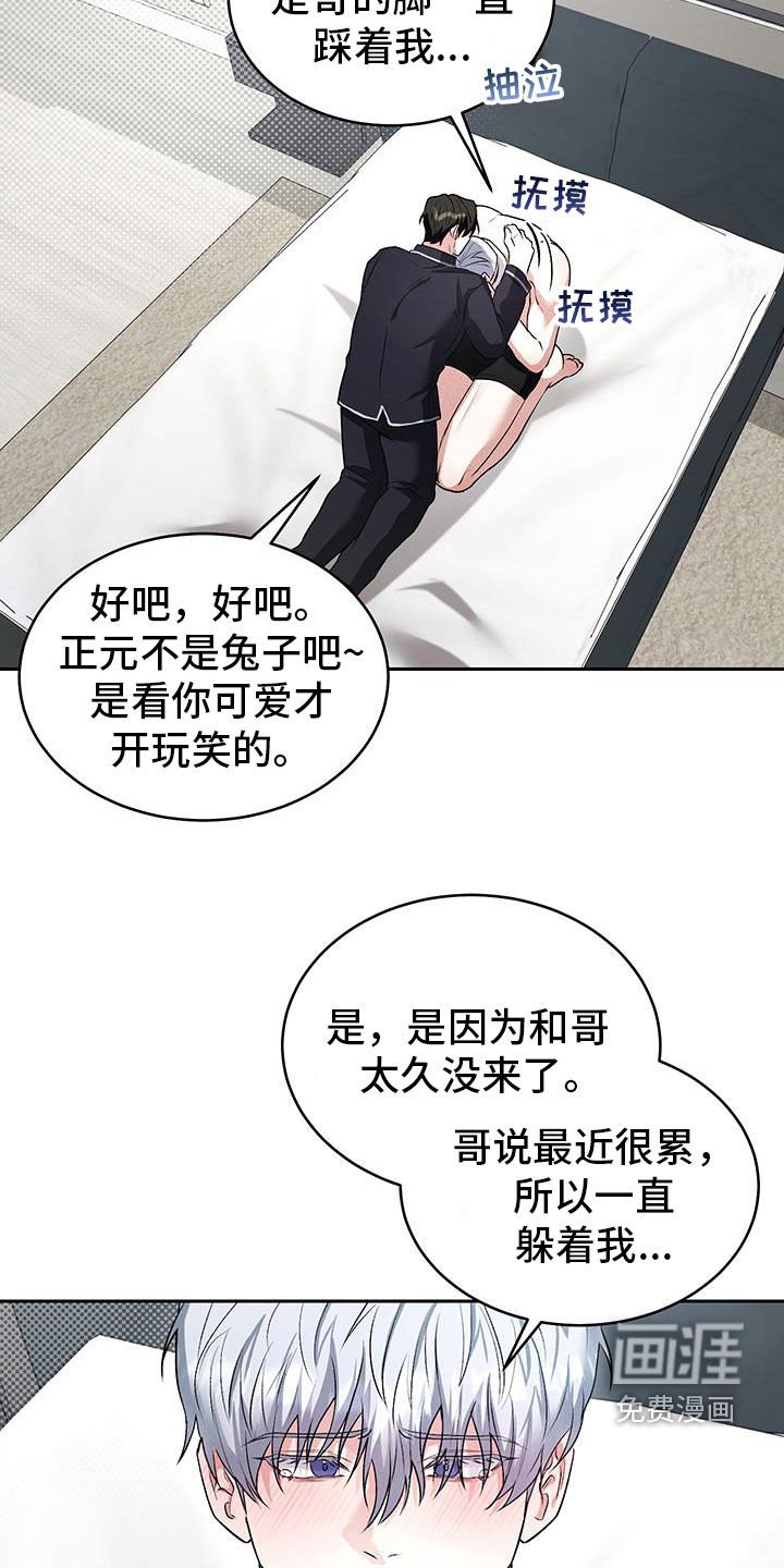 第48章：【番外】我是兔子