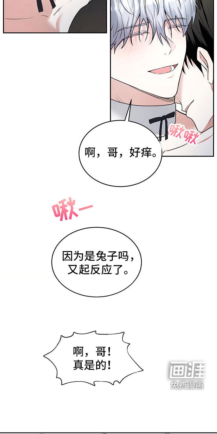 第48章：【番外】我是兔子