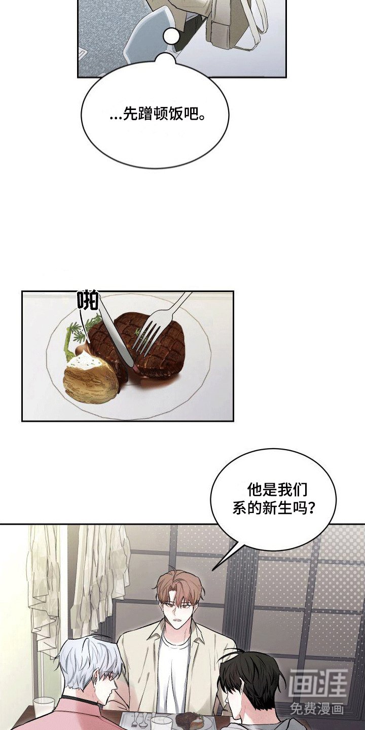 第5章：狗粮