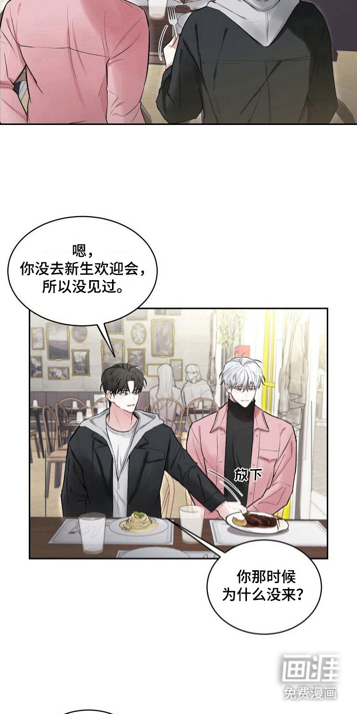 第5章：狗粮