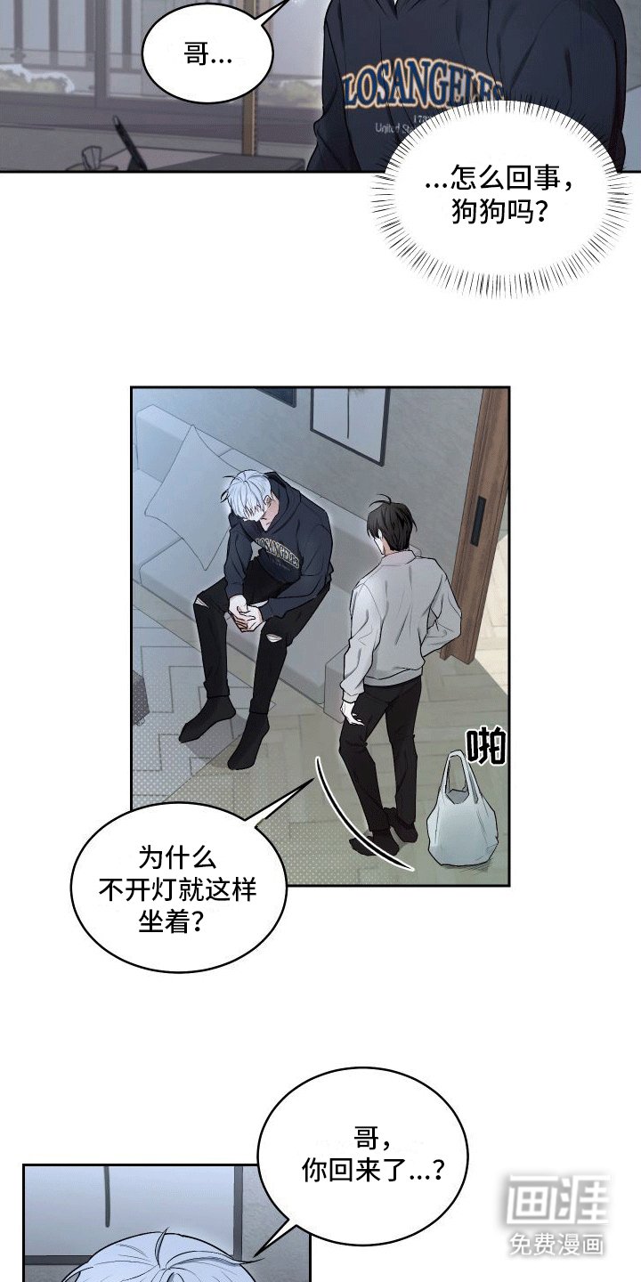 第9章：委屈小狗