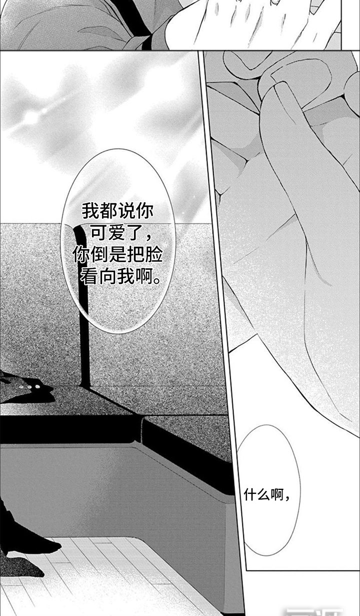 第11章：夸奖