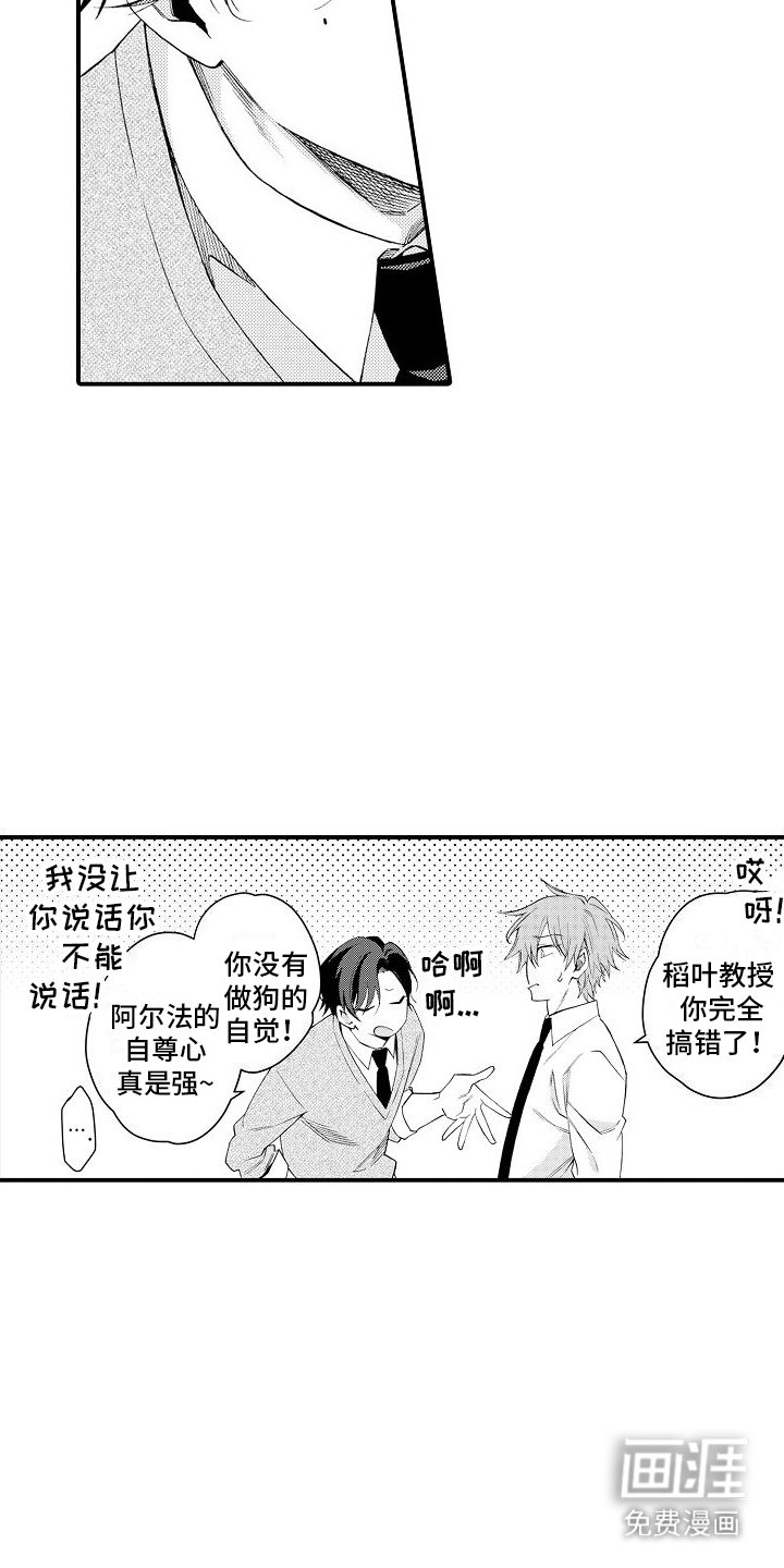 第10章：质问