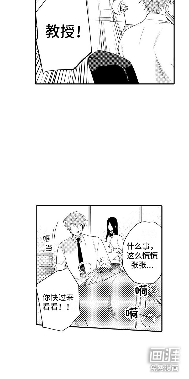 第12章：心理阴影