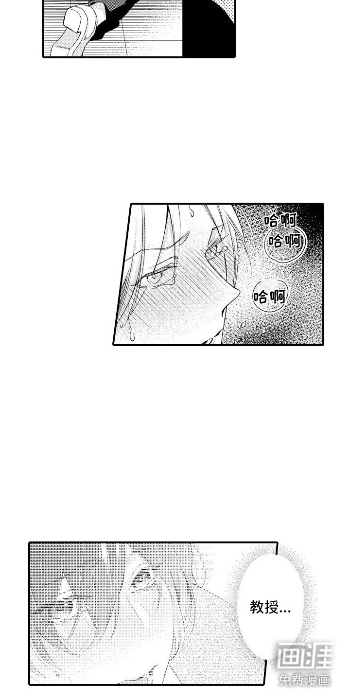 第12章：心理阴影