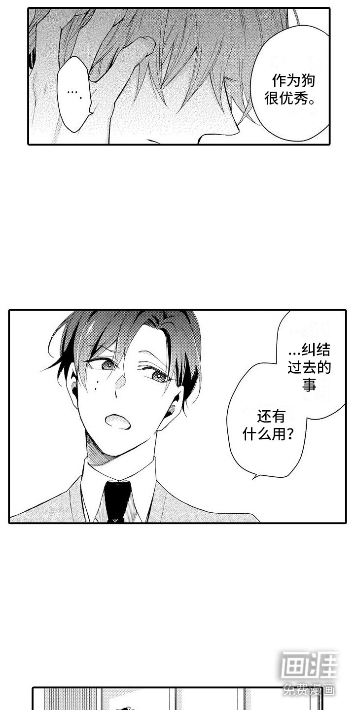 第13章：安慰