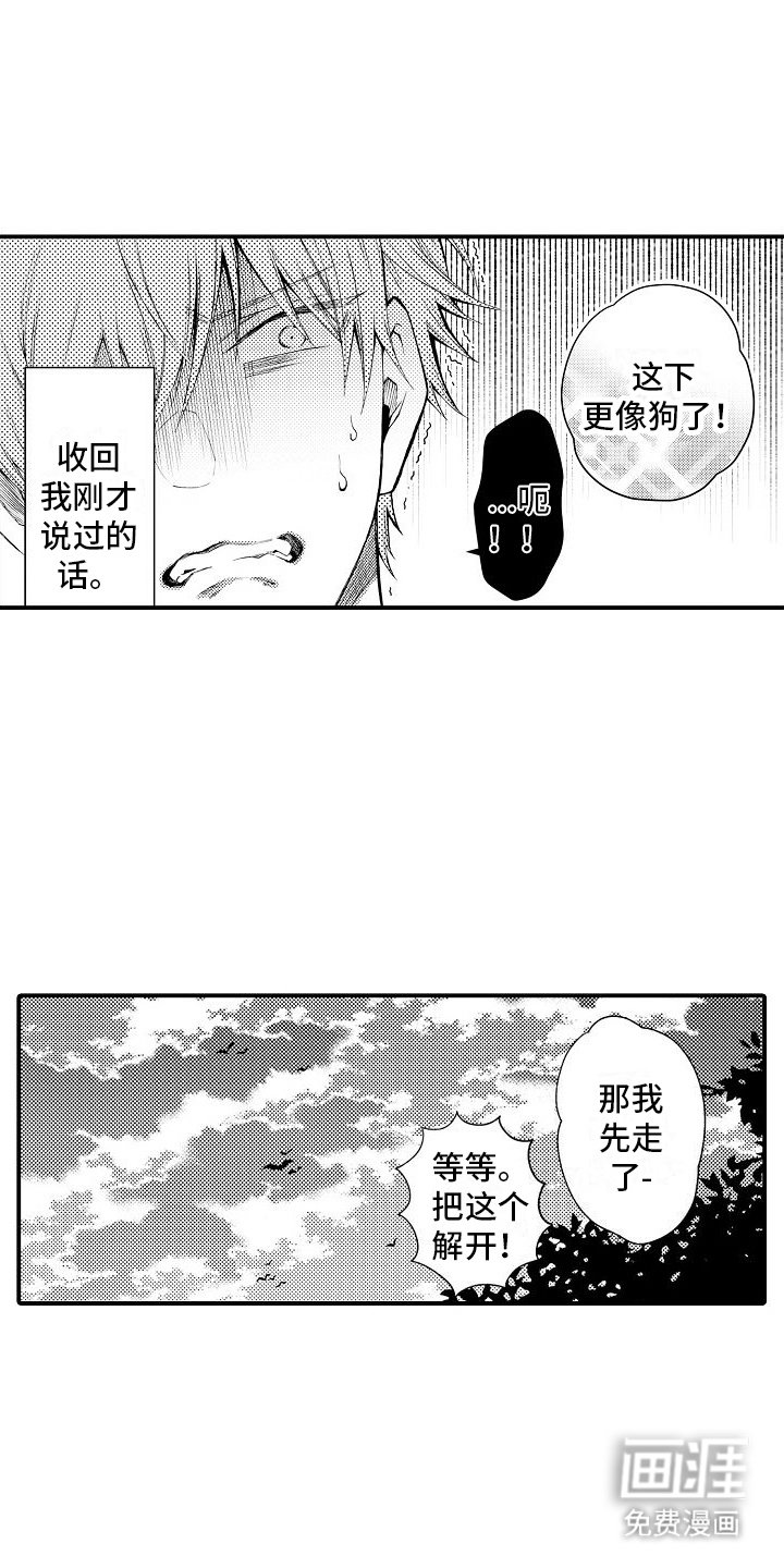 第14章：项圈