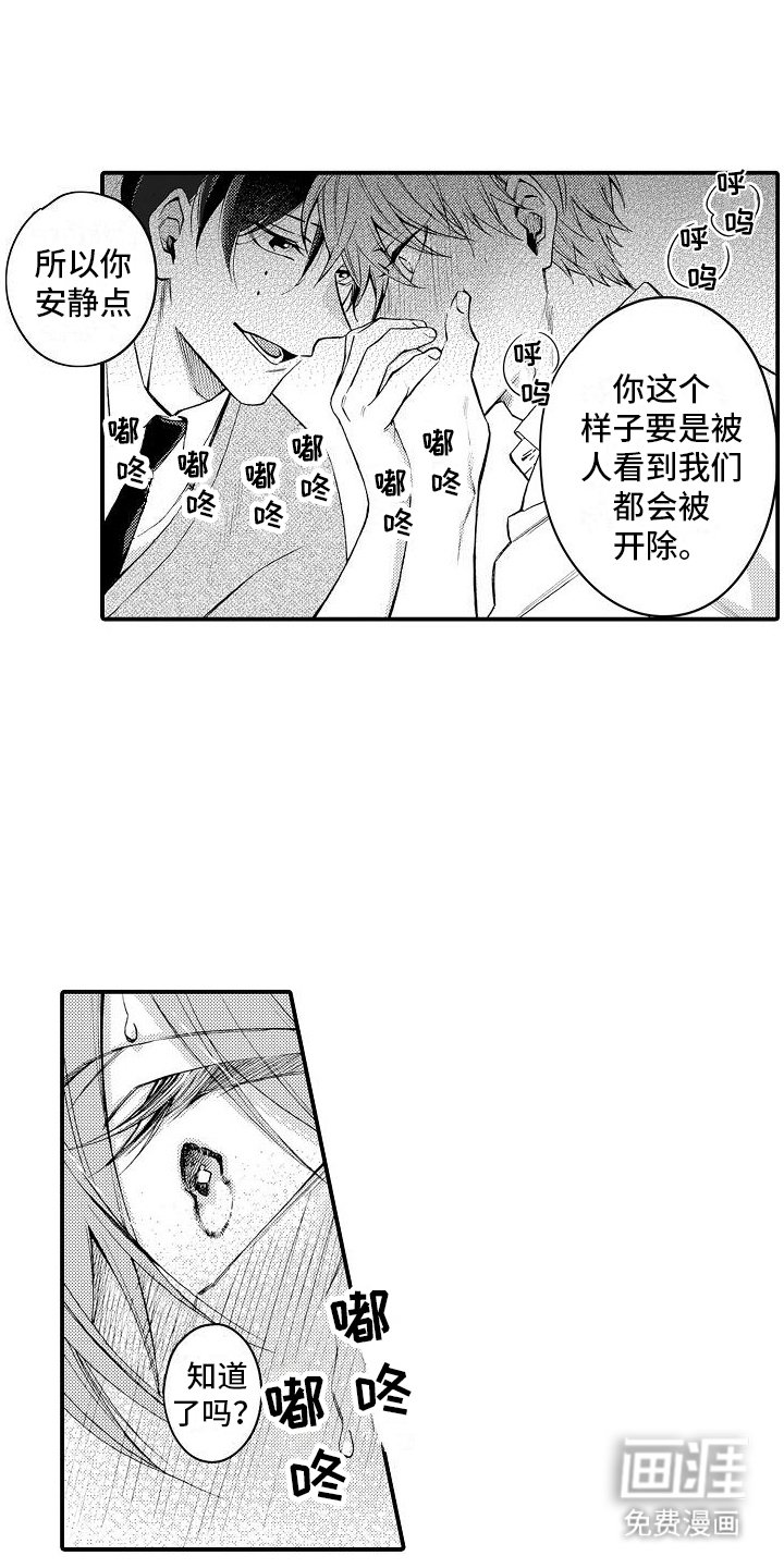第14章：项圈