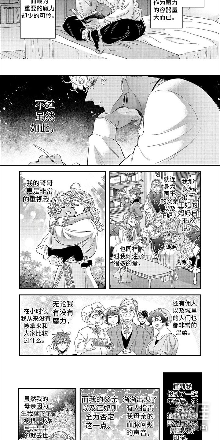 第22章：没有魔力的王族