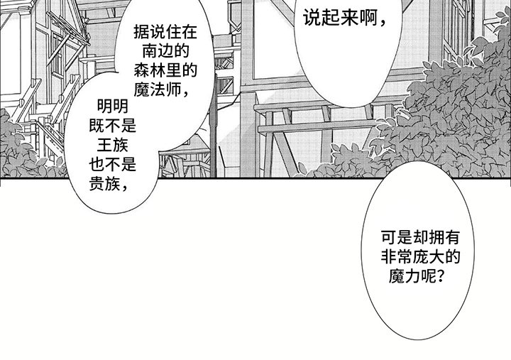 第22章：没有魔力的王族