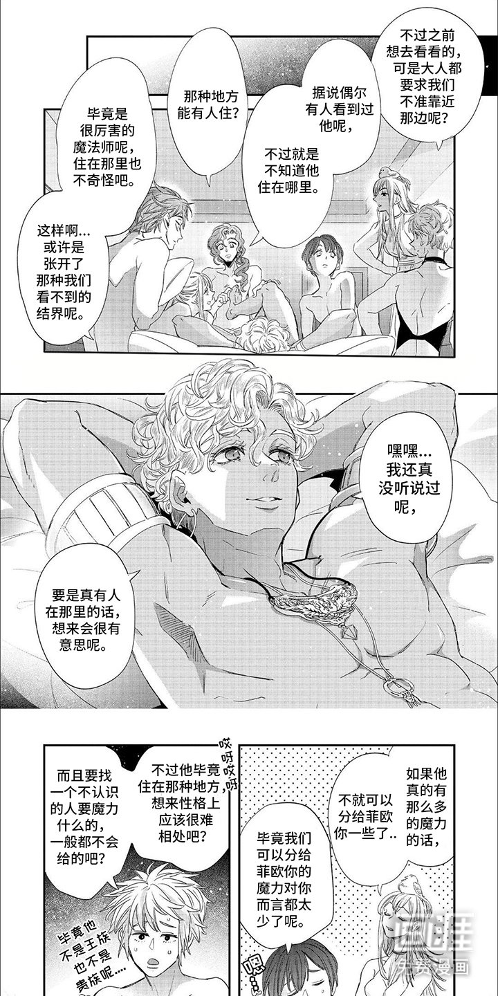 第23章：森林里的魔法师