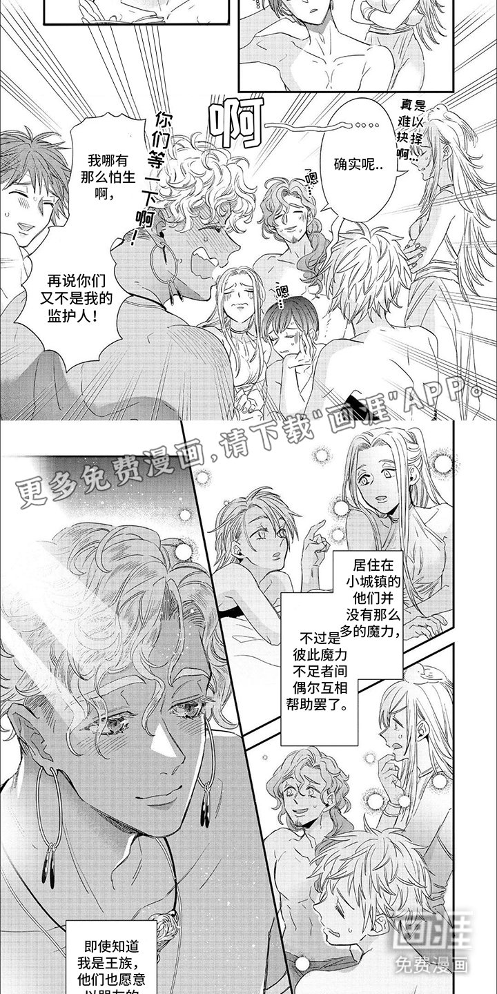 第23章：森林里的魔法师