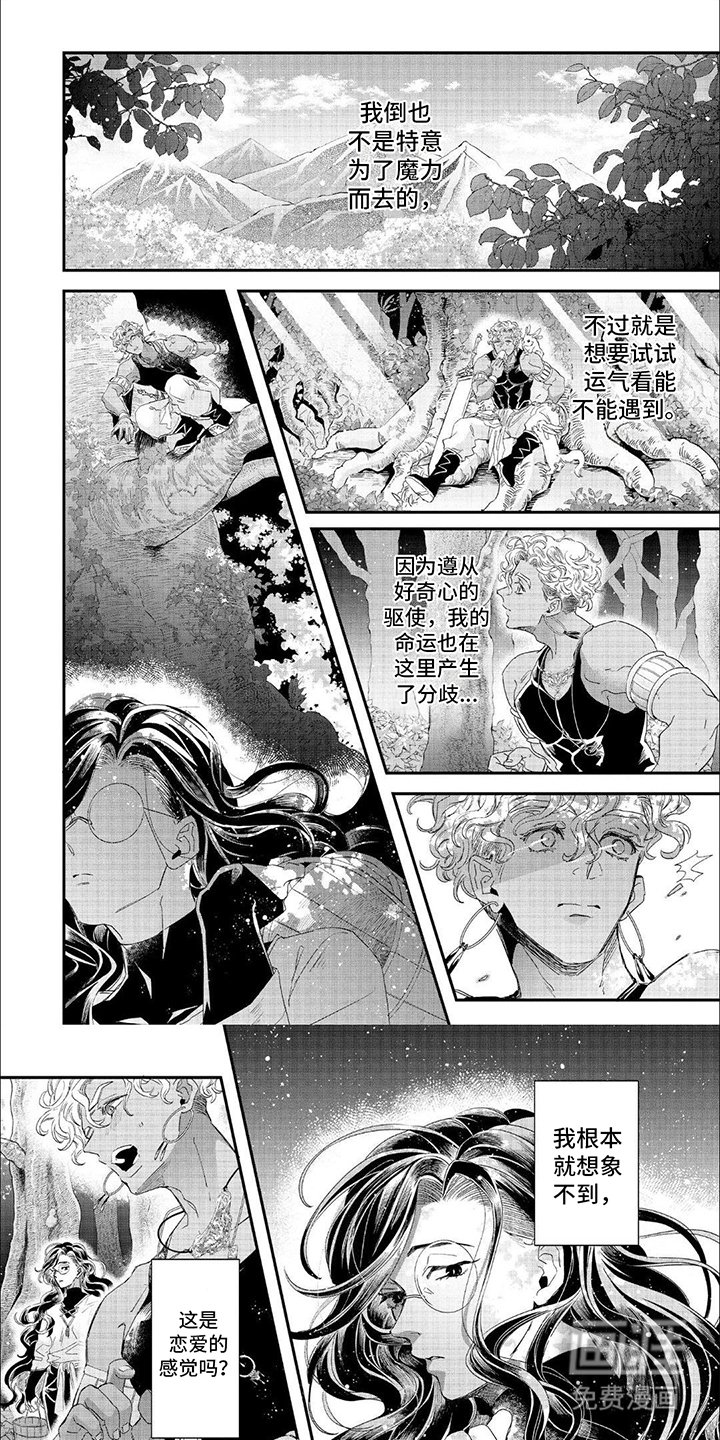 第23章：森林里的魔法师