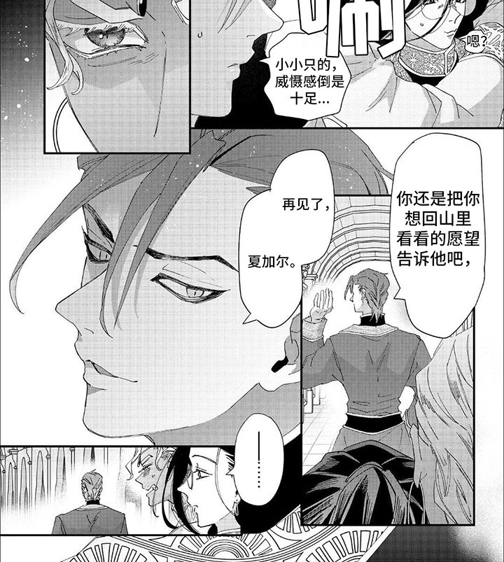 第41章：告别