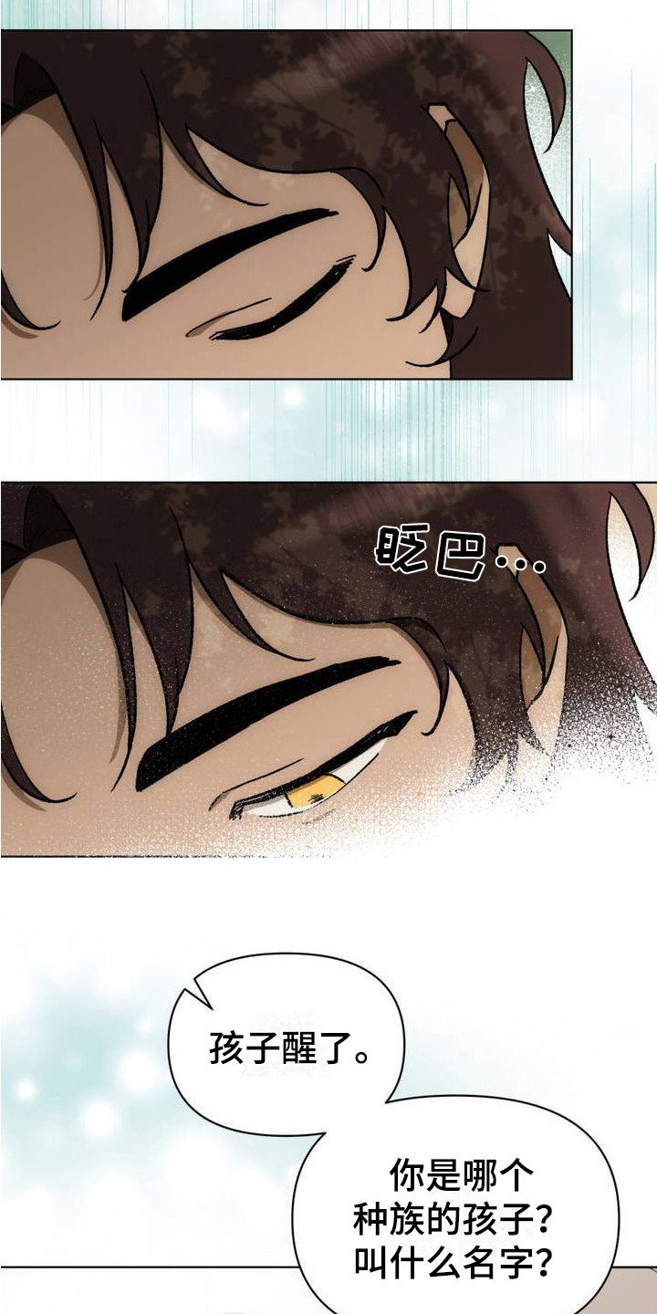 第1章：部族的希望
