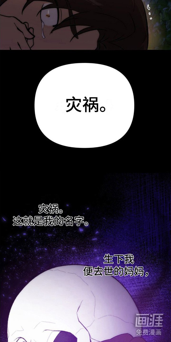 第8章：灾祸
