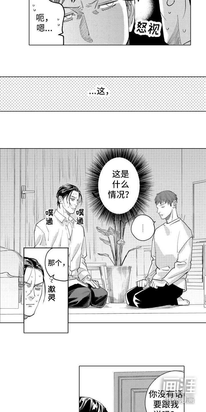 第14章：坦白