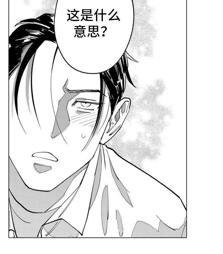 第14章：坦白
