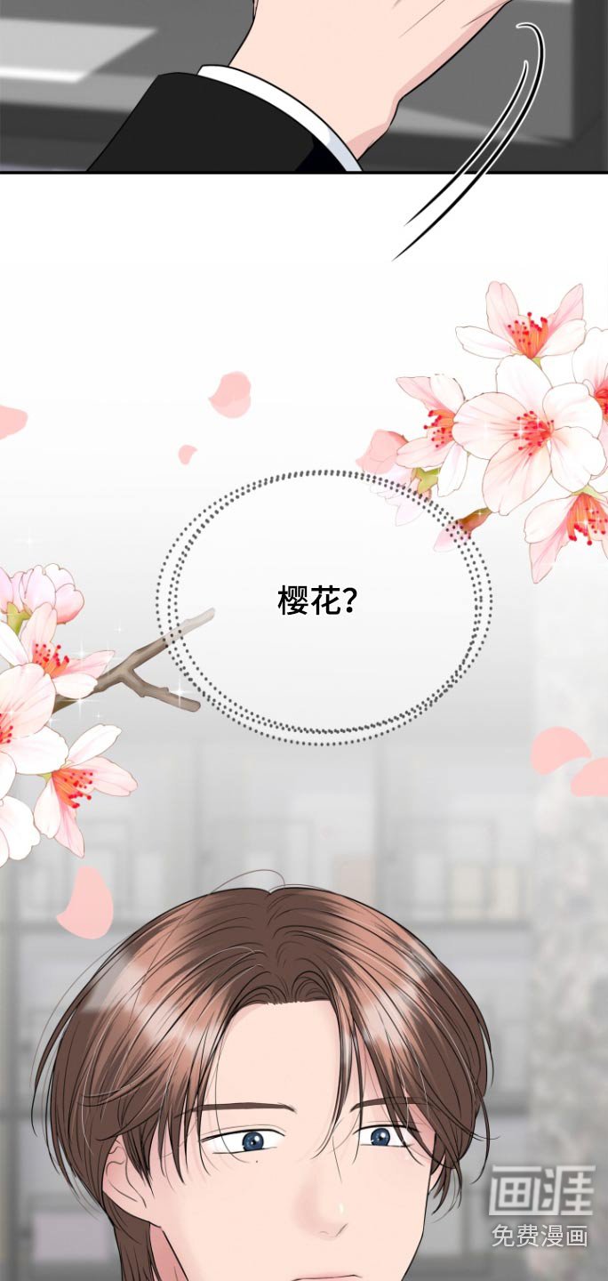 第57章：照片