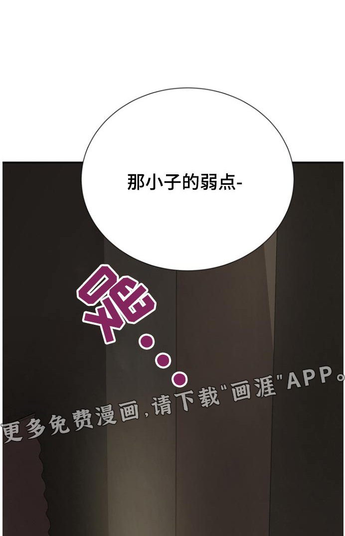 第61章：伪装