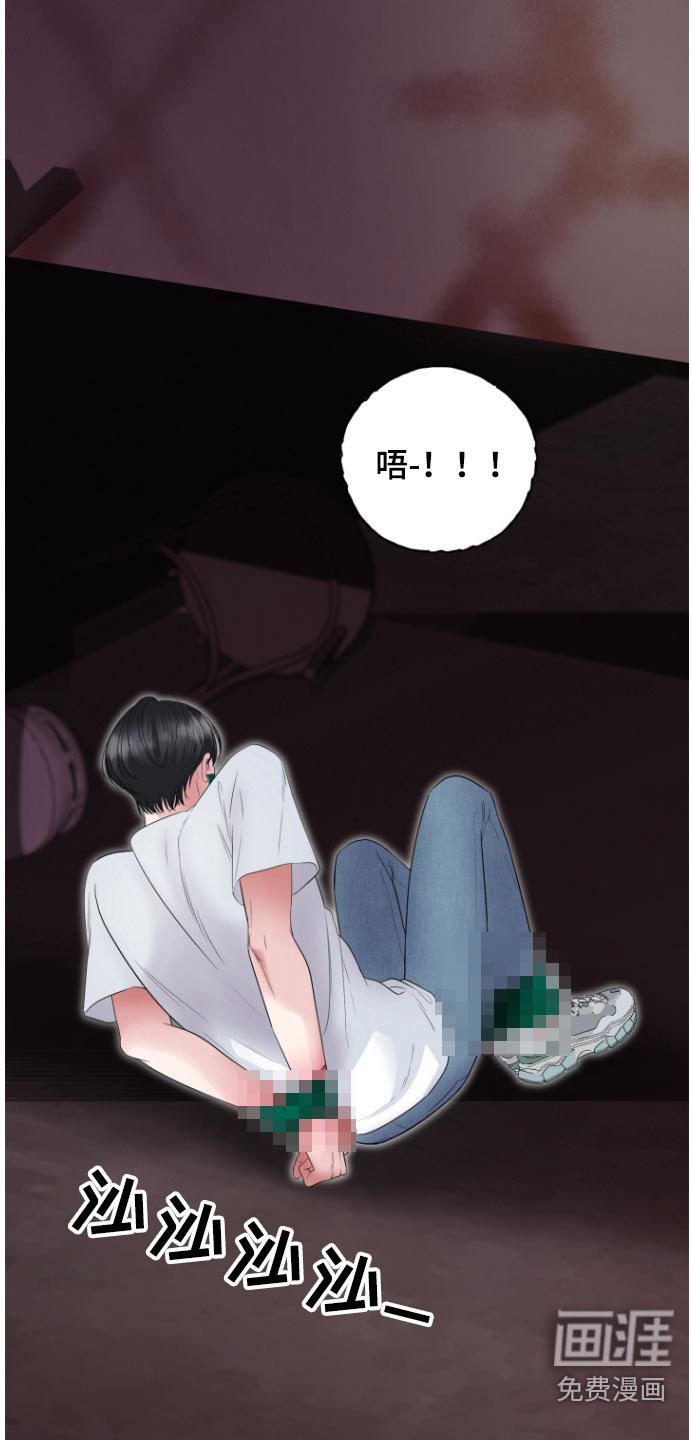 第61章：伪装