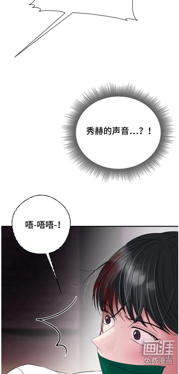 第61章：伪装