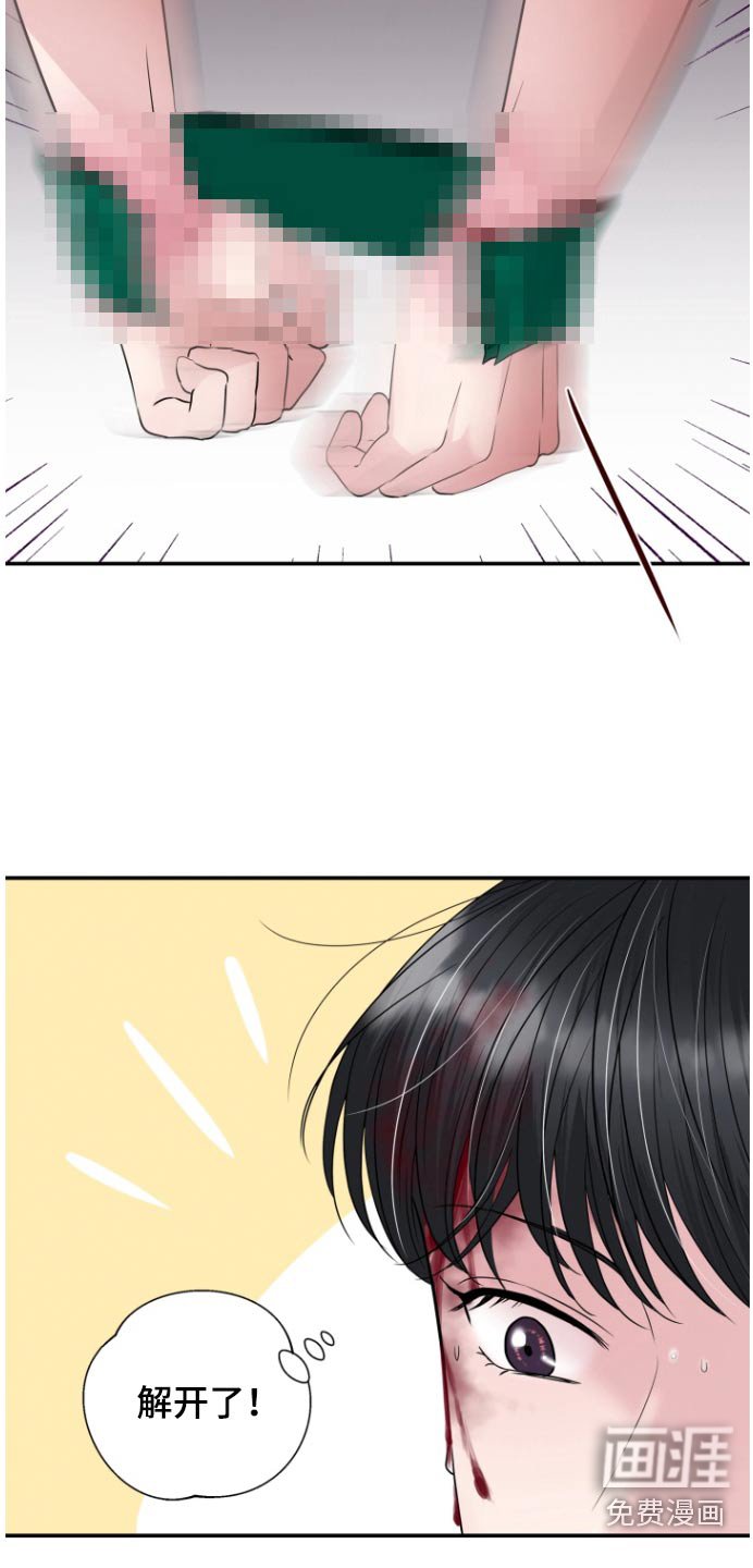 第61章：伪装