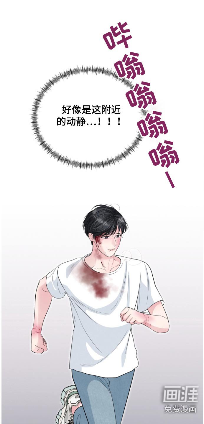 第61章：伪装